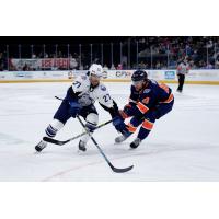 Jacksonville Icemen's Robert Calisti battles Greenville Swamp Rabbits' Stuart Rolofs