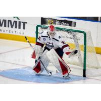 Goaltender Logan Neaton with the Kalamazoo Wings