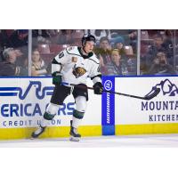 Utah Grizzlies defenseman Andrew Nielsen