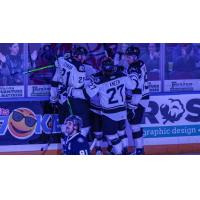 Wichita Thunder celebrate a goal