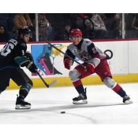 Allen Americans right wing Easton Brodzinski