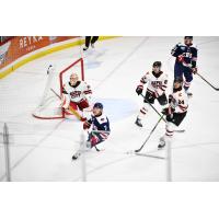 Rapid City Rush and South Carolina Stingrays on the ice