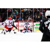 Kitchener Rangers in action