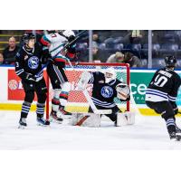 Wenatchee Wild goaltender Zach Zahara