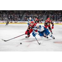 Colorado Eagles' Mark Senden and Grand Rapids Griffins' William Wallinder in action