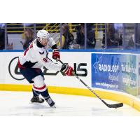 South Carolina Stingrays' Reilly Webb in action