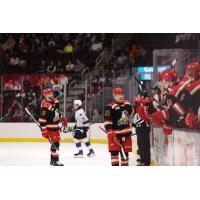 Grand Rapids Griffins' Joe Snively congratulated by team