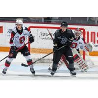 Peterborough Petes right wing Francis Parish looks for a score against the Ottawa 67's