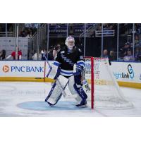 Jacksonville Icemen goaltender Michael Houser