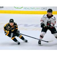 Wheeling Nailers' Logan Pietila and Adirondack Thunder's Ryan Conroy in action