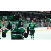 Texas Stars' Justin Hryckowian on game night