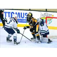 Wheeling Nailers forward Matthew Quercia fights for a loose puck against the Maine Mariners