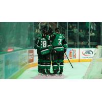 Texas Stars huddle after a goal