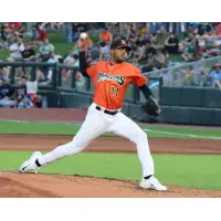 Dayton Dragons pitcher Nestor Lorant