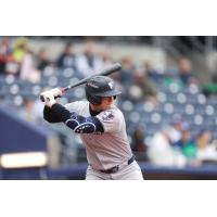 Rafael Flores of the Somerset Patriots at bat